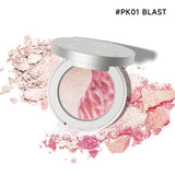 Chameleon Hybrid Highlighter#PK01 BLAST